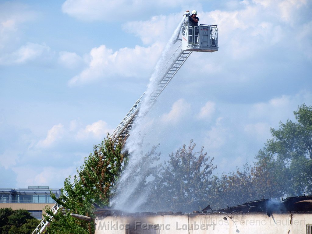 Feuer Koeln Ossendorf Butzweiler Hof neben IKEA P249.JPG